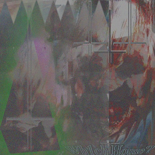 Which House? - Digital Junky (Original Crack) - Free Download