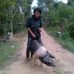 Istrument Alat musik Sape