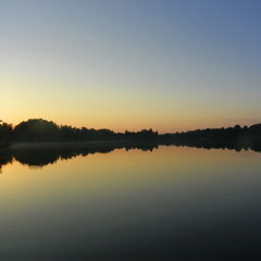 FunkyGlitches-Dying and  then born again (mastered by DoHm)