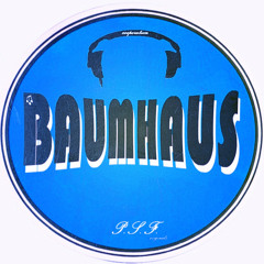 BAUMHAUS - SKYFALL