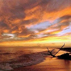 The Traveller - Am Strand