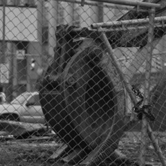 Shane Koyczan "this is my voice" benjamins remix of his spoken word