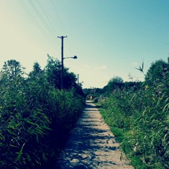 The Hassle - A Place of Thought