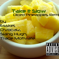 Take It Slow (Diced Pineapples remix)