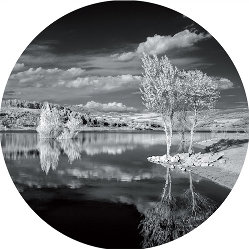 Gab Rhome - 1990 as in gold was born (Supplement Facts)