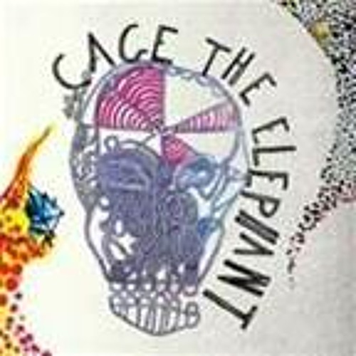 'Aint No Rest For The Wicked' - Cage The Elephant  (live)