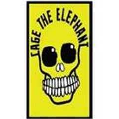 'In One Ear' - Cage The Elephant (live)