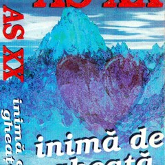 AS XX - Despartire (1998)