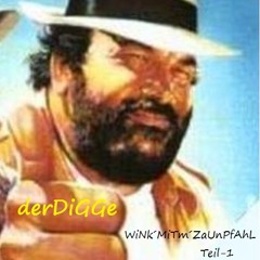 derDiGGe(aka.derTECHNICKER) - WiNk´MiTm´ZaUnPfAhL(Teil-1)(11.11.2012).mp3