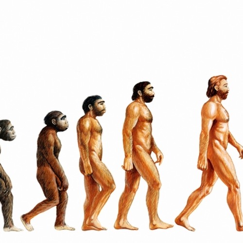 HUMAN EVOLUTUION !