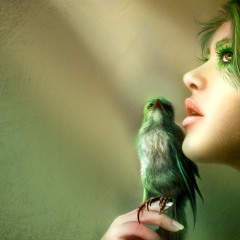 Outasight - Tonight is the Night(Hippy killer rmx)