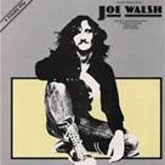 "Rocky Mountain Way" - Joe Walsh & Daryl Hall (live)