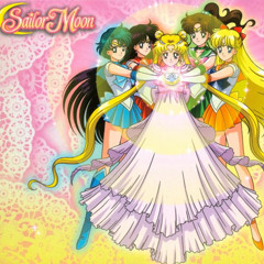 Sailor Senshi Shuuketsu