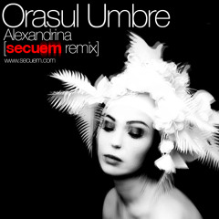 Alexandrina - Oraşul Umbre (Secuem REMIX)
