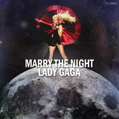 Lady GaGa - Marry The night (T.F.Alien Remix)