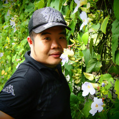 到底有谁能够告诉我