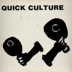 Quick Culture 1 (L.C. remix) by Quick Culture