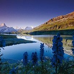 Jenny Mayhem ft. Jesse Taylor - Could Be (DRUMKIT Remix)