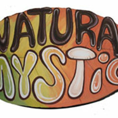 Patch - Enter the Natural Mystic (Bob vs Damian Marley & Nas)