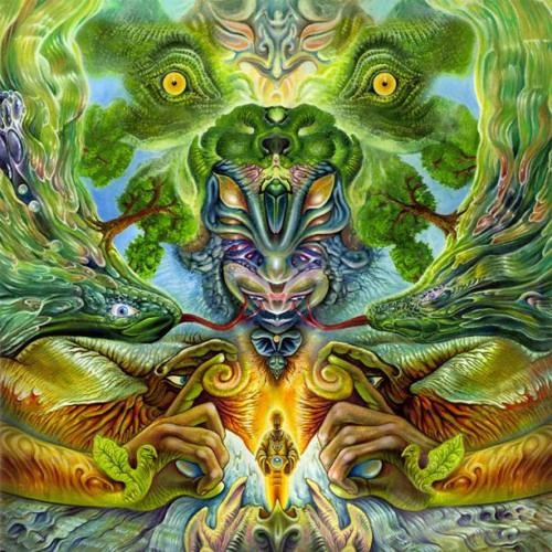05-digicult - leap of faith-mycel
