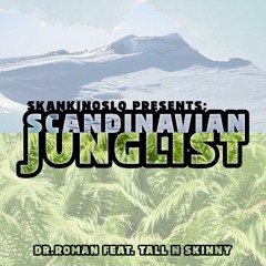 Dr.Roman feat. Tall N Skinny - Scandinavian Junglist