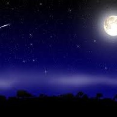 Alex van Floyd - I come from the moon