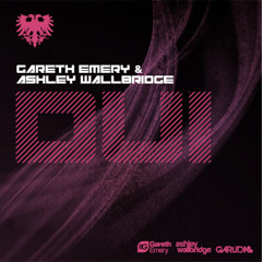 Gareth Emery & Ashley Wallbridge - DUI