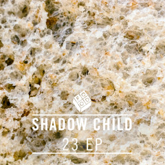 Shadow Child 'The Verdict pt2' - out 12.12.12