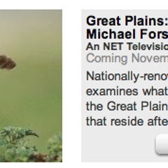 Opening Music to "Great Plains: America's Lingering Wild with Michael Forsberg"