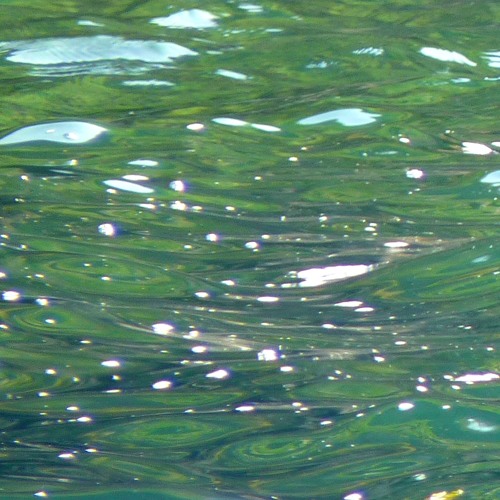 Like the Sea, Dave McKeown with Anjù and Michelle Eaton