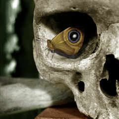 Detailed Productions - Dark