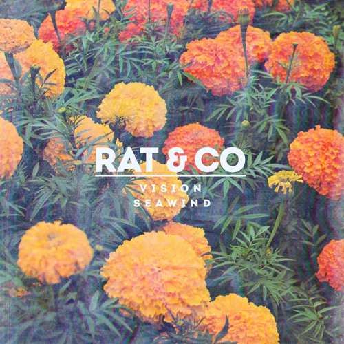 Rat & Co - Forget Never Forget