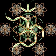 ShikoDelic
