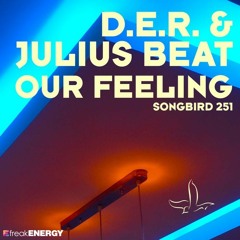 D.E.R. & Julius Beat - Our Feeling (Khomha Remix)