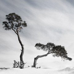 Ketnies - 23 Years of Madness (2013 Liveset - Preview)