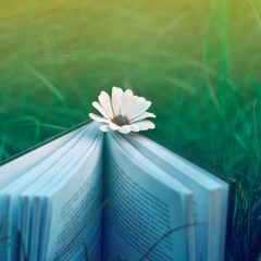 Ost boys over flowers ss501 be