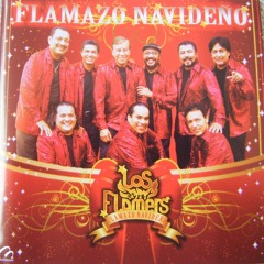 Flamazo Navideño-Los Flamers
