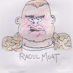 Raoul Moat