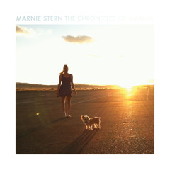 Marnie Stern -  Year of the Glad
