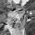 Artwork for Asatru - Float on