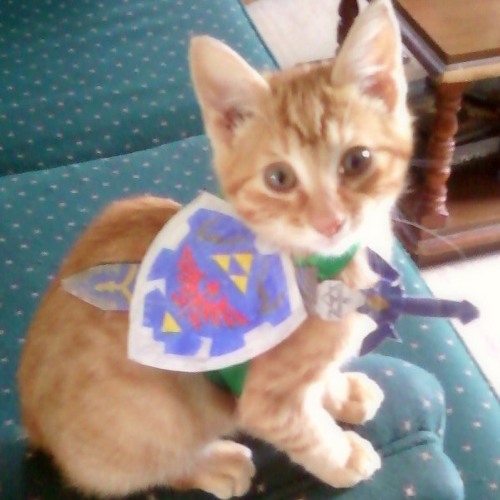legend of zelda cat collar