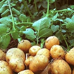 Let me introduce myself (VS SCE4)