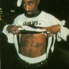 2pac ft heat thug for life