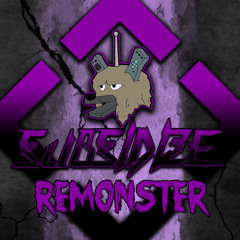 Subsidize - Remonster