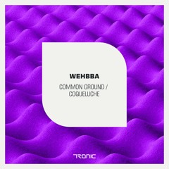 Wehbba - Coqueluche - Tronic // lo-fi sc edit
