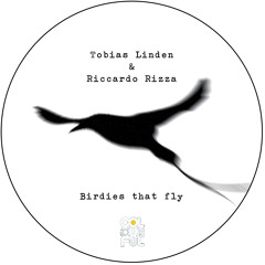 Tobias Linden & Ricardo Rizza - Birdies that fly (Aldo Cadiz Remix) (96K)