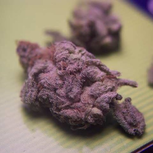 Sunday Sample Crunch #83 - Pimpin' Smokin' 'Dro (unmastered)