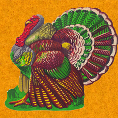 Thanksgiving Theme