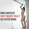 Why Where What Og Status Remix Mp3