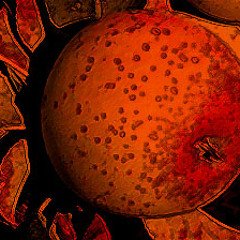 Dualvoid - brown snout